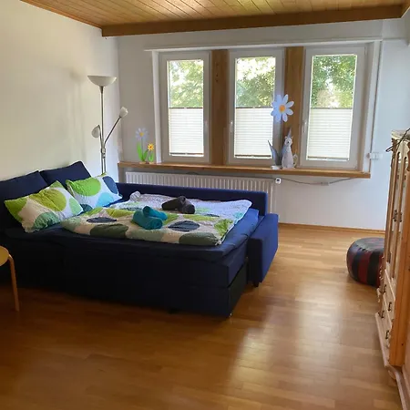 Ferienwohnung Todzi 公寓 *